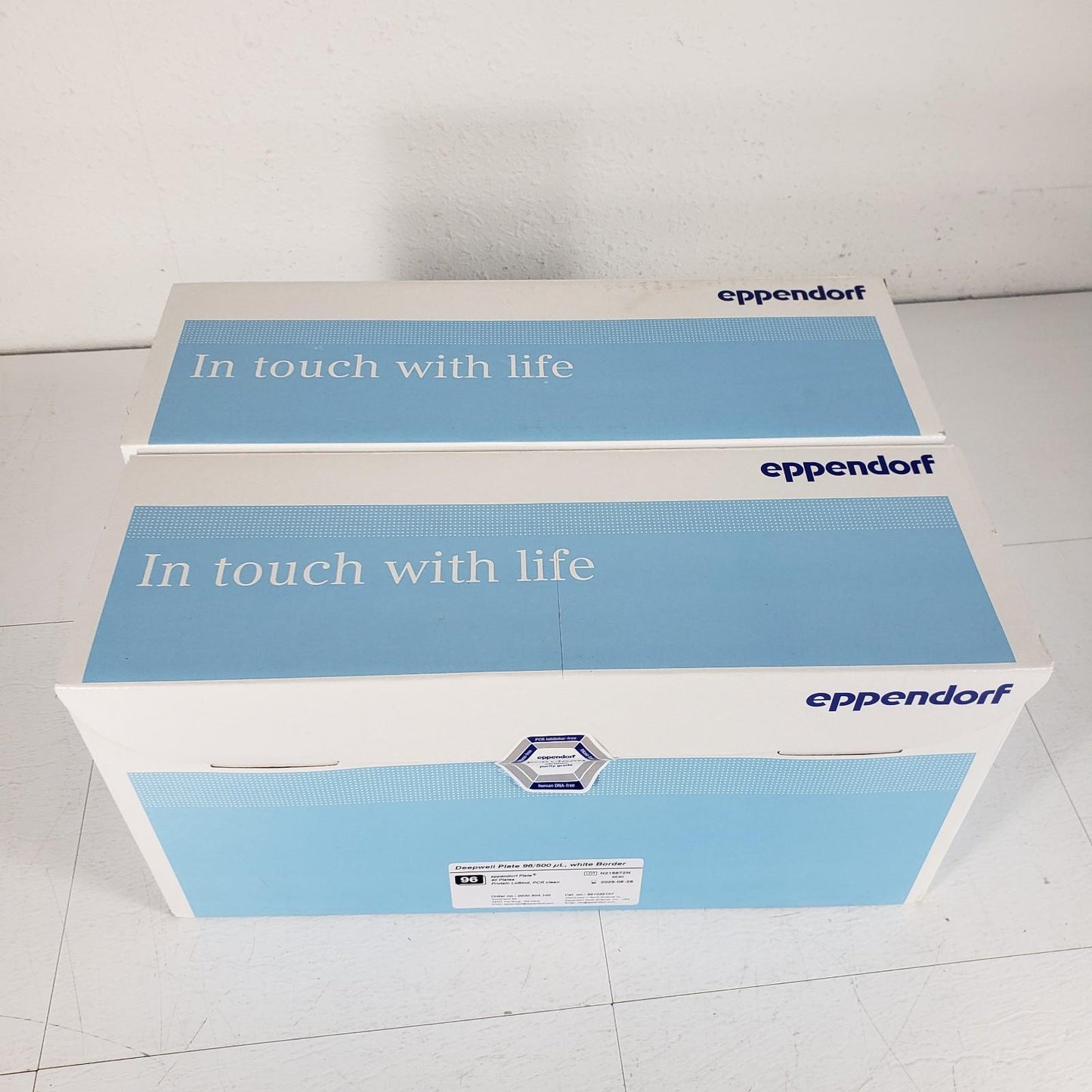 Eppendorf 951032107 Deepwell Plate 96/500 µL 64 Plates Protein LoBind PCR Clean