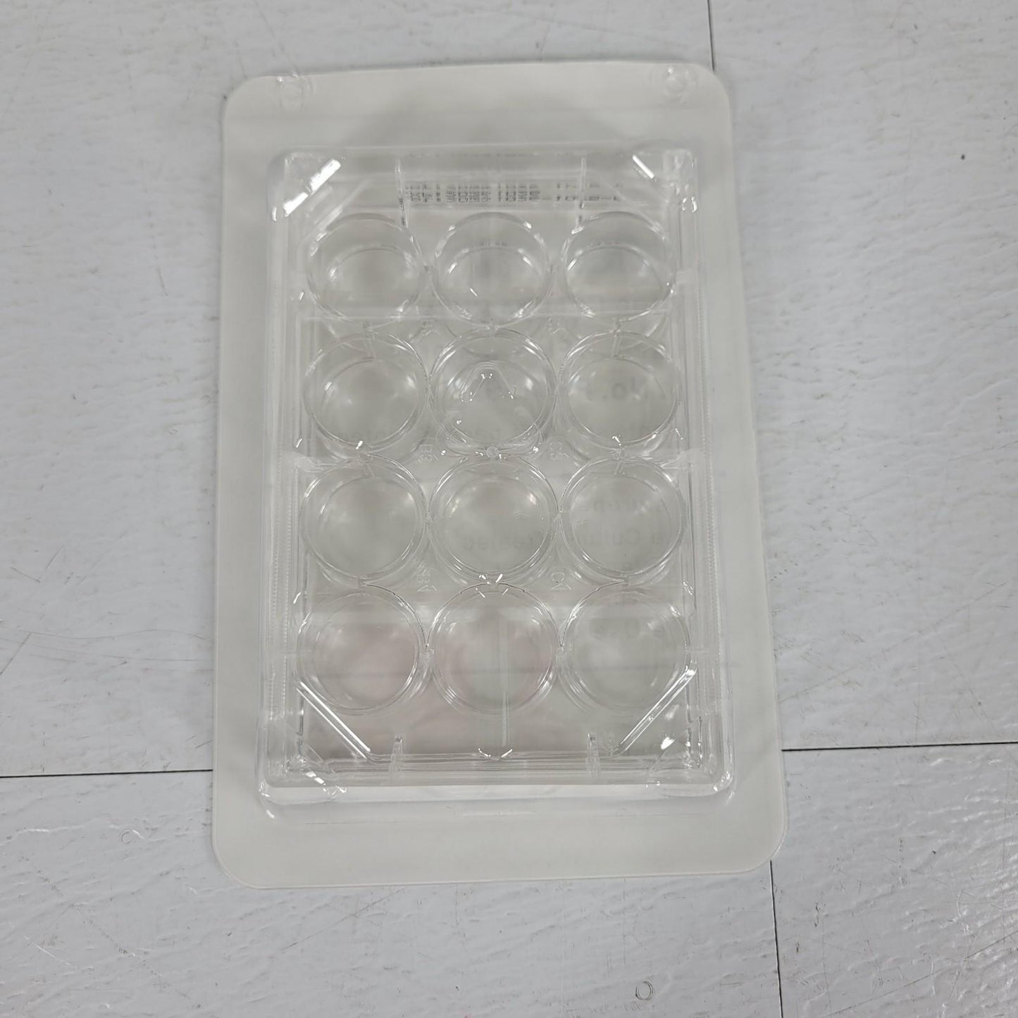 50PK Fisherbrand FB012928 12 Well Tissue Culture Plate Flat Bottom