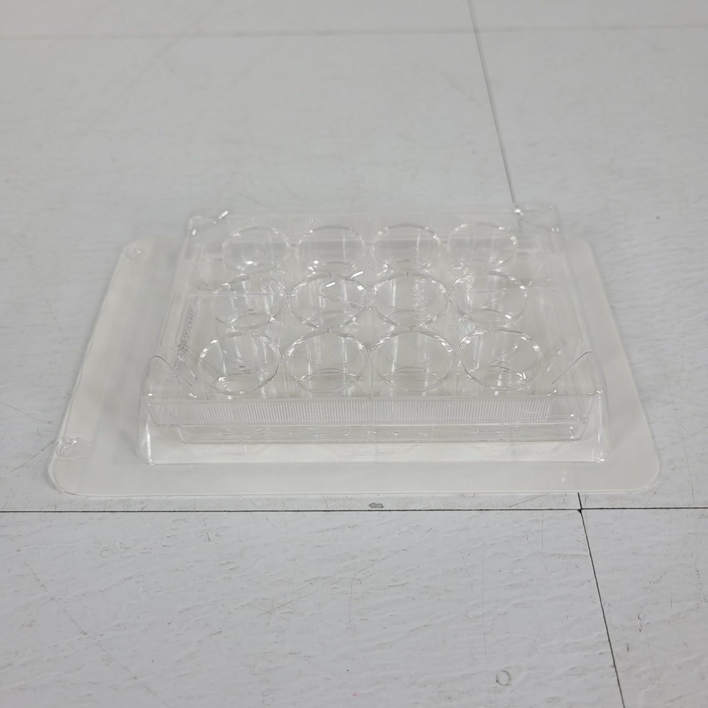 50PK Fisherbrand FB012928 12 Well Tissue Culture Plate Flat Bottom