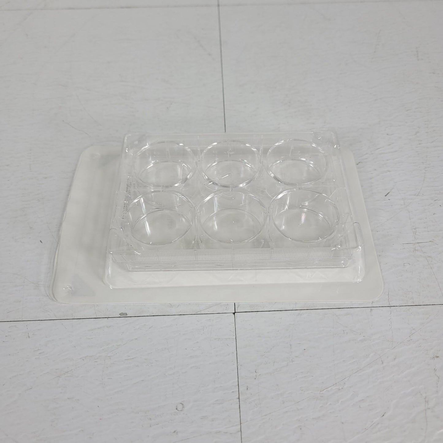 34PK Avantor 10062-892 VWR Tissue Culture Plate 6 Well Surface Treated