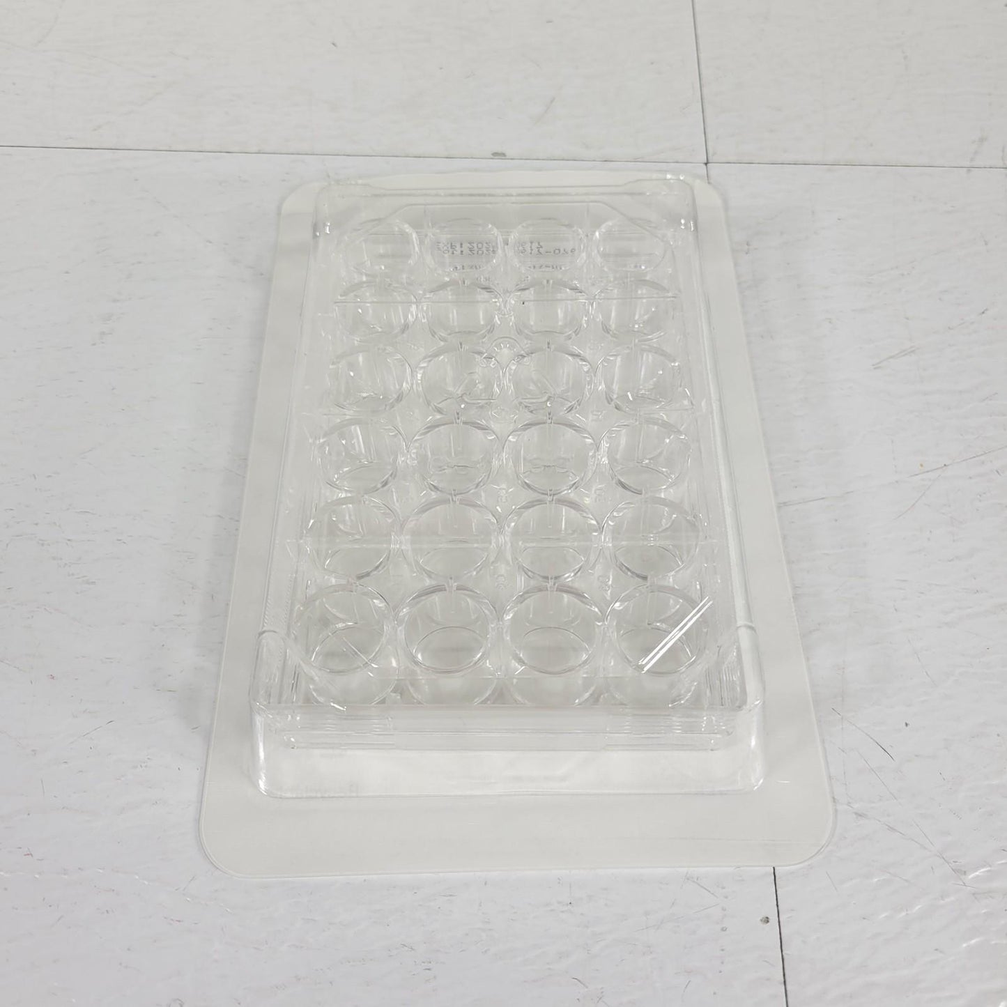 42-Pack Fisherbrand FB012929 Polystyrene 24 Wells Tissue Culture Plate