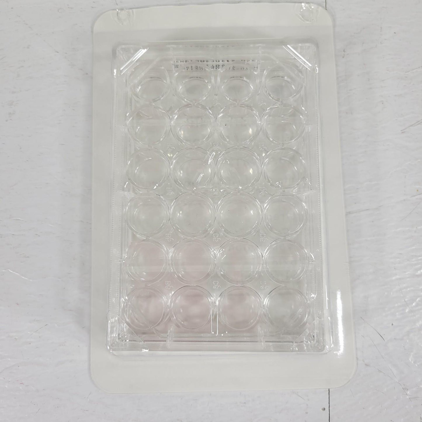 42-Pack Fisherbrand FB012929 Polystyrene 24 Wells Tissue Culture Plate