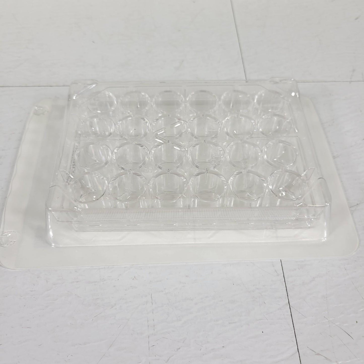 42-Pack Fisherbrand FB012929 Polystyrene 24 Wells Tissue Culture Plate