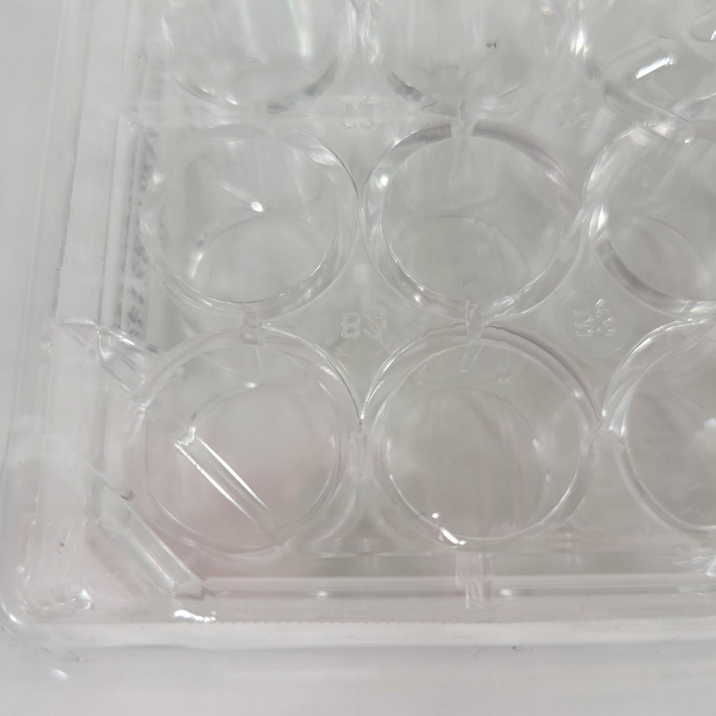 42-Pack Fisherbrand FB012929 Polystyrene 24 Wells Tissue Culture Plate