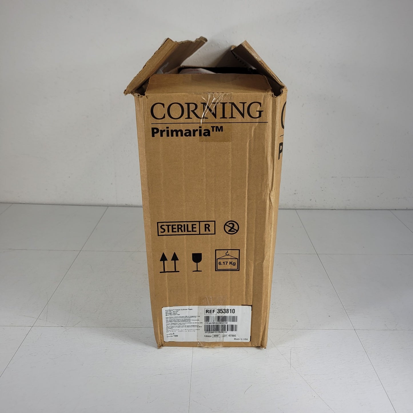 Corning 353810 Primaria Tissue Culture Flask 250mL 75cm² Straight Neck Blue Cap