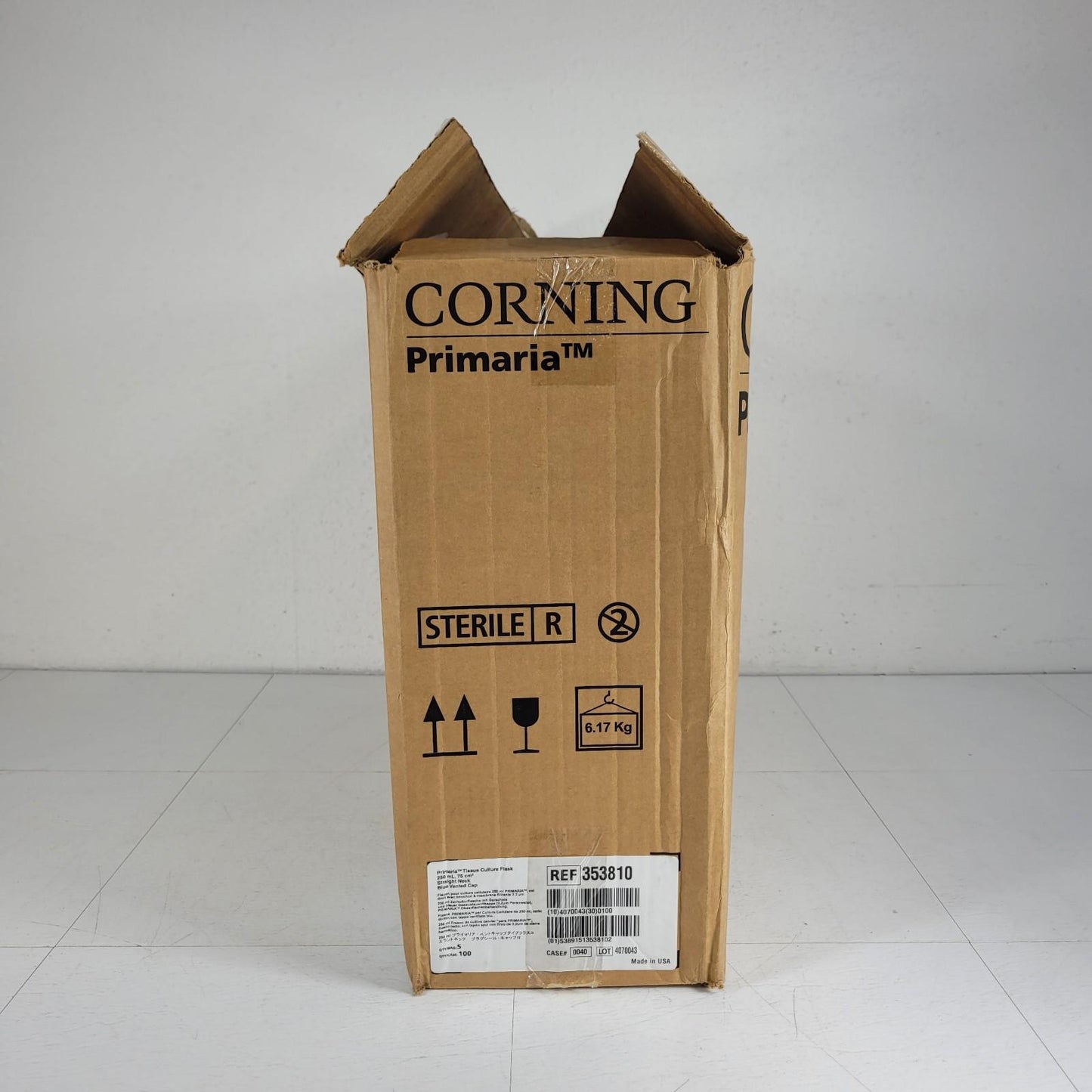 Corning 353810 Primaria Tissue Culture Flask 250mL 75cm² Straight Neck Blue Cap
