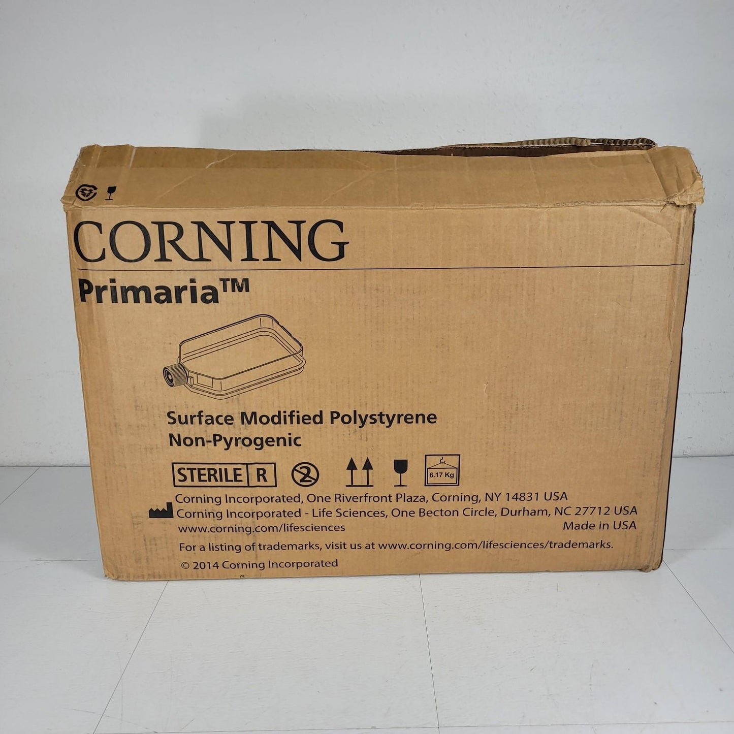 Corning 353810 Primaria Tissue Culture Flask 250mL 75cm² Straight Neck Blue Cap