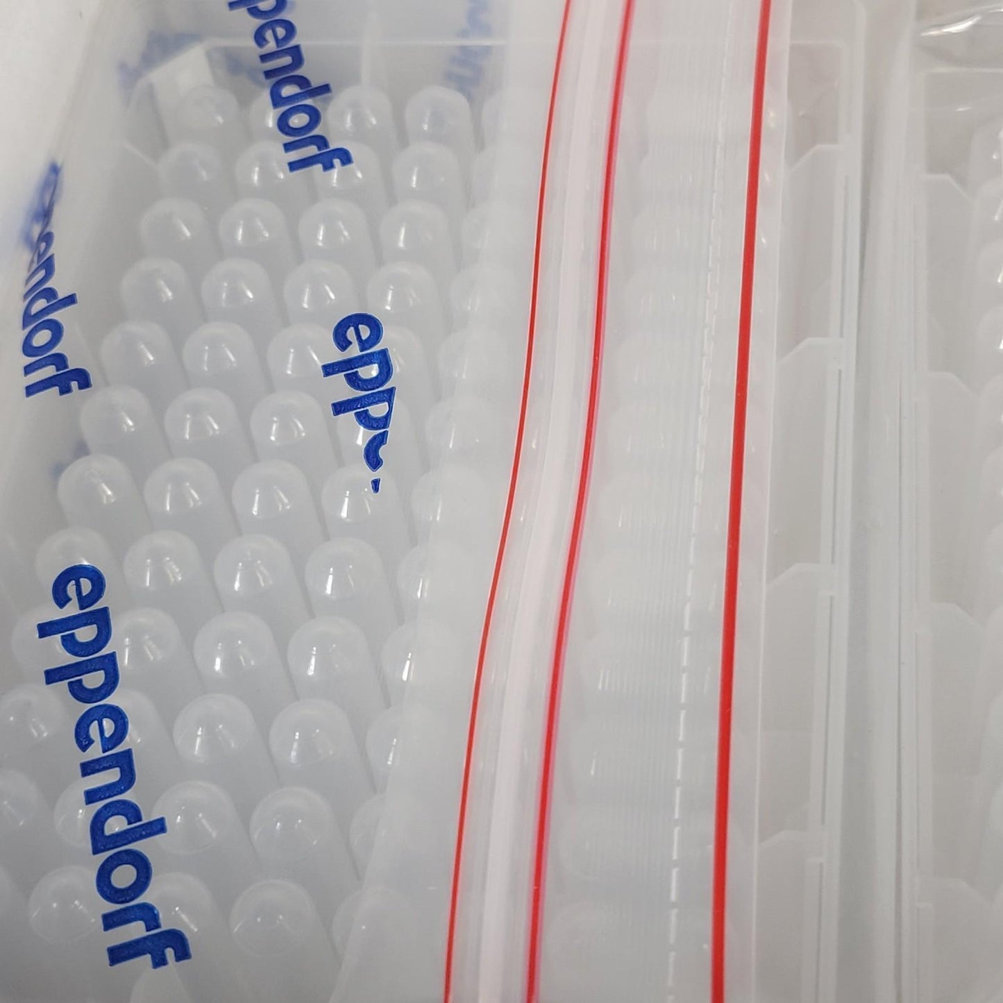 Eppendorf 951032808 Deepwell Plate 96/1000 𝜇L White Border DNA LoBind 8 Plates