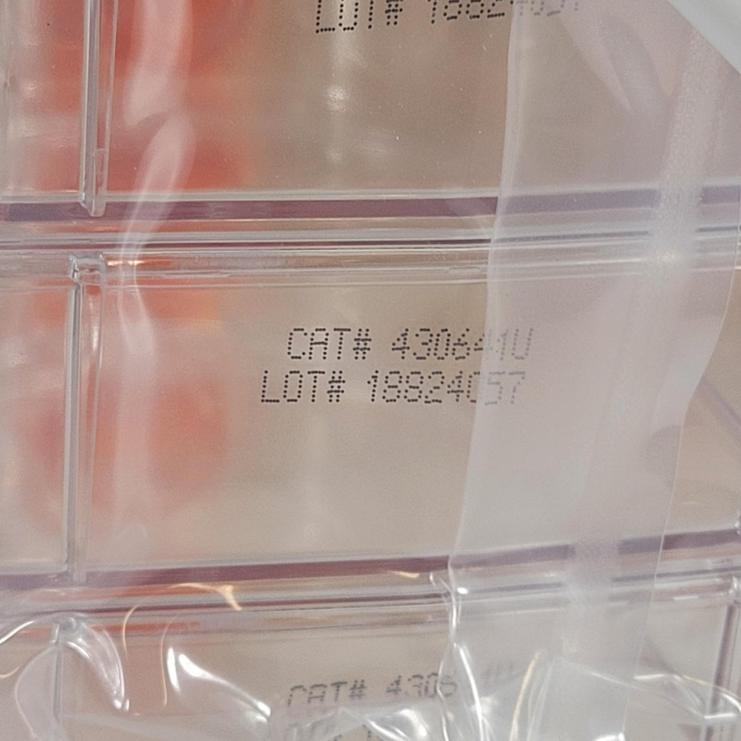 70-Pack Corning 430641U 75cm² U-Shaped Canted Neck Treated Cell Culture Flask