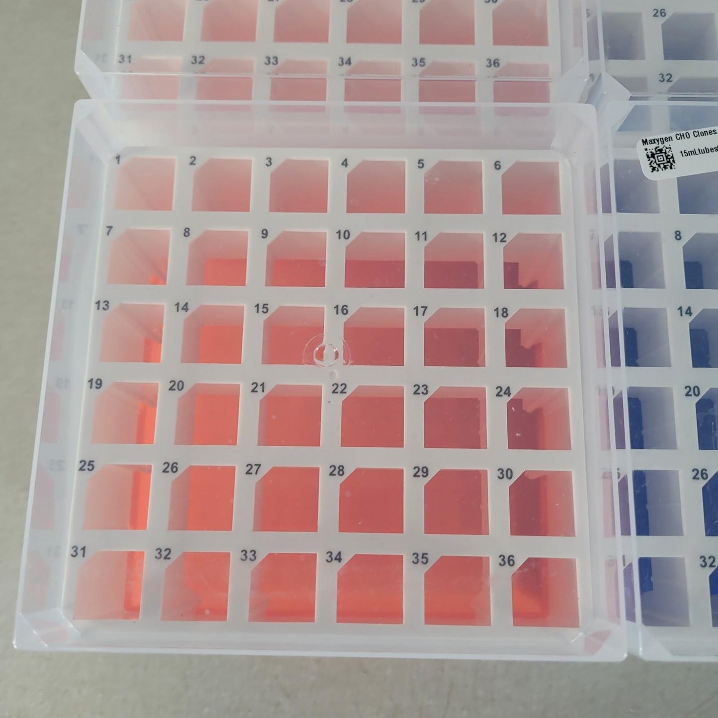 Lot of 12 36-Place 15mL Cole-Parmer Polypropylene Freezer Box  3 Orange 9 Blue
