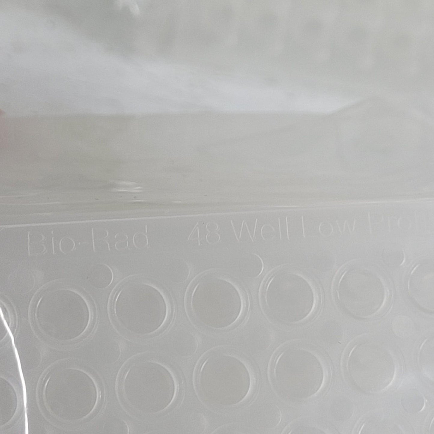 Bio-Rad MLL4801 Multiplate PCR Plates Unskirted Low Profile Clear  48-Well 45 Ct