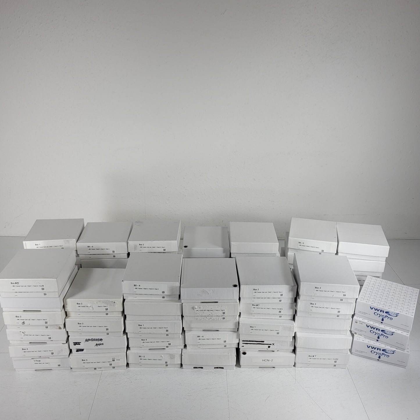 Lot Of 60 VWR 82007-158 Freezer Boxes Variety 10x10 Cardboard Drain Slots