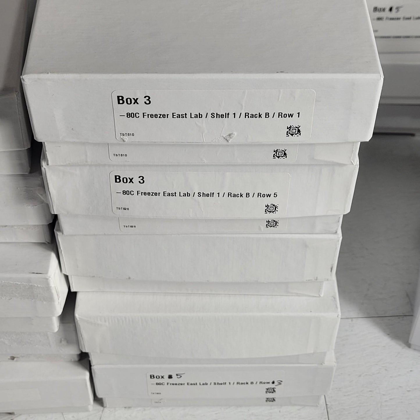 Lot Of 60 VWR 82007-158 Freezer Boxes Variety 10x10 Cardboard Drain Slots