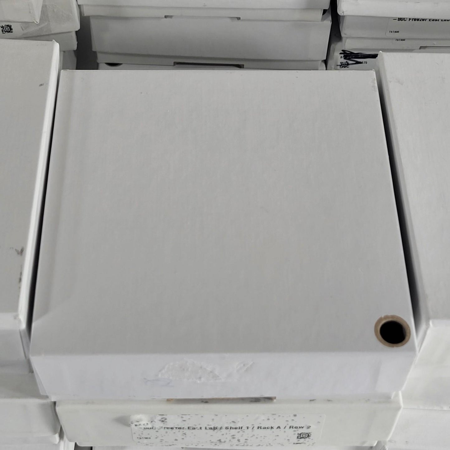 Lot Of 60 VWR 82007-158 Freezer Boxes Variety 10x10 Cardboard Drain Slots