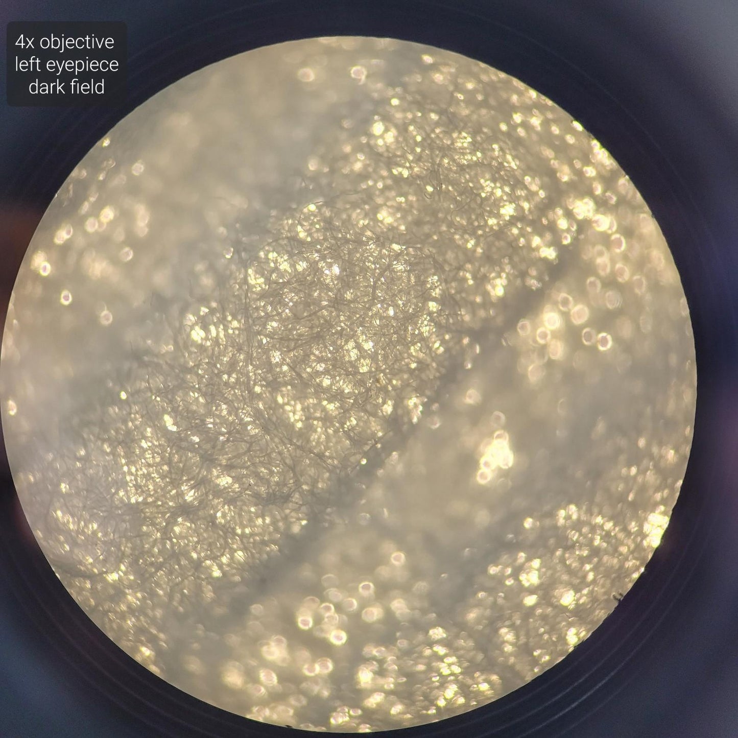 Laxco LMI3-PH4 Inverted Phase Contrast Microscope 3 Objectives PL10X/22 LMI-3000