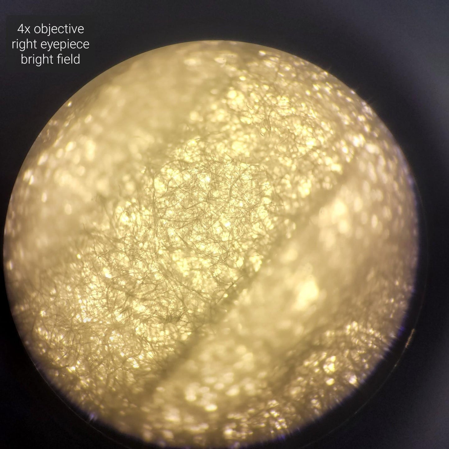 Laxco LMI3-PH4 Inverted Phase Contrast Microscope 3 Objectives PL10X/22 LMI-3000
