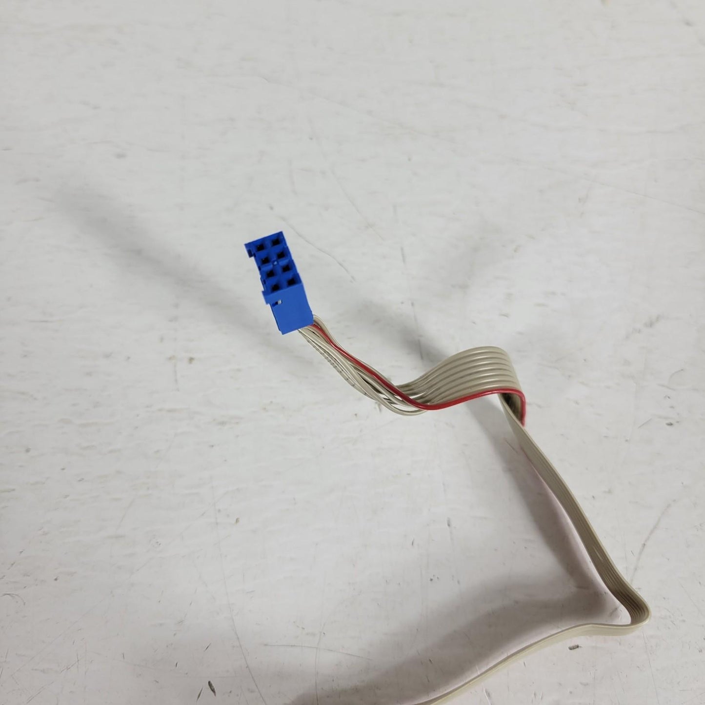 Maxon Motor 47.022.022-00.19-189 Evo DC Precision 8 Pin Sensor Flattened Shaft