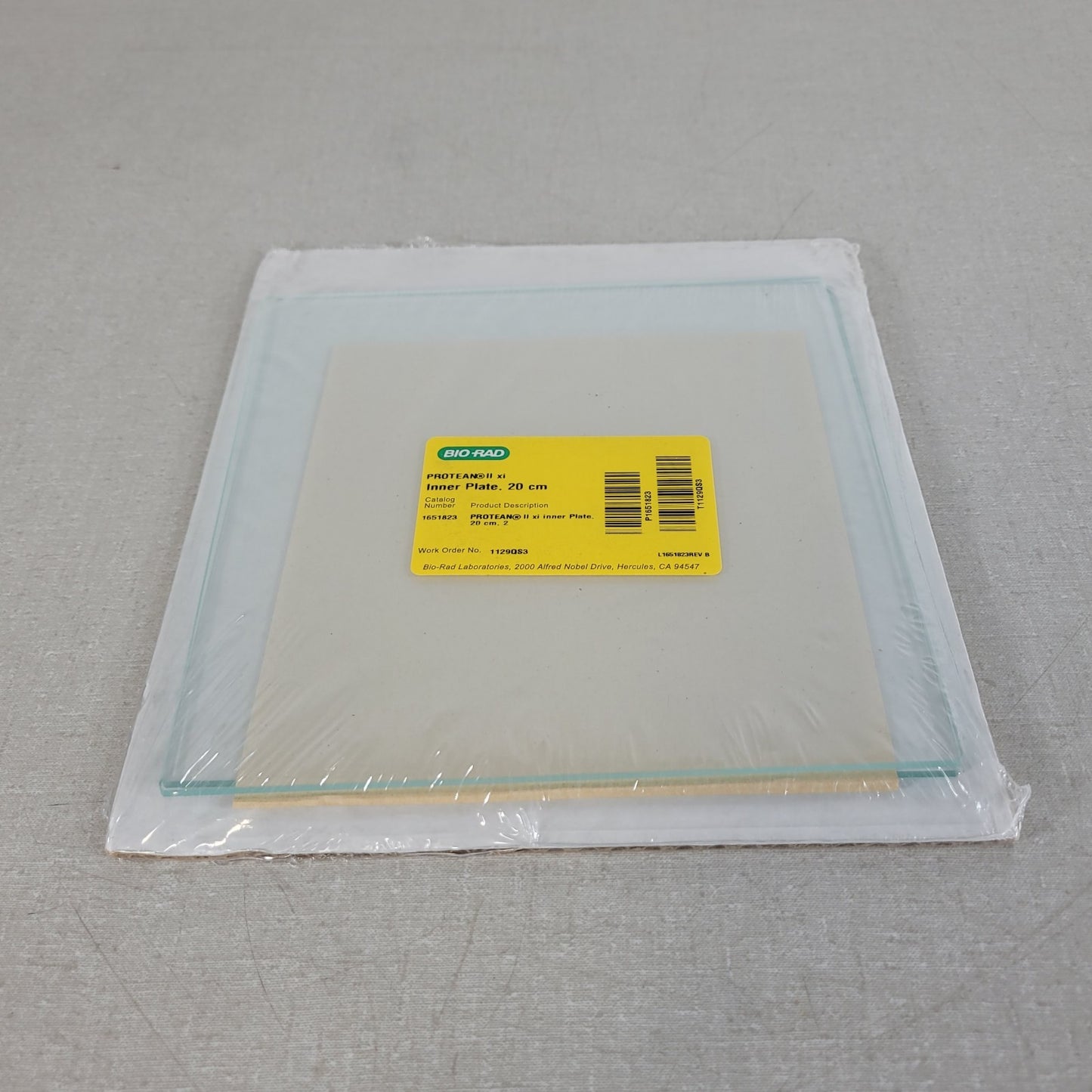 BIO RAD 1651823 Protean II xi Inner Plate 20 x 20cm for Electrophoresis Cells