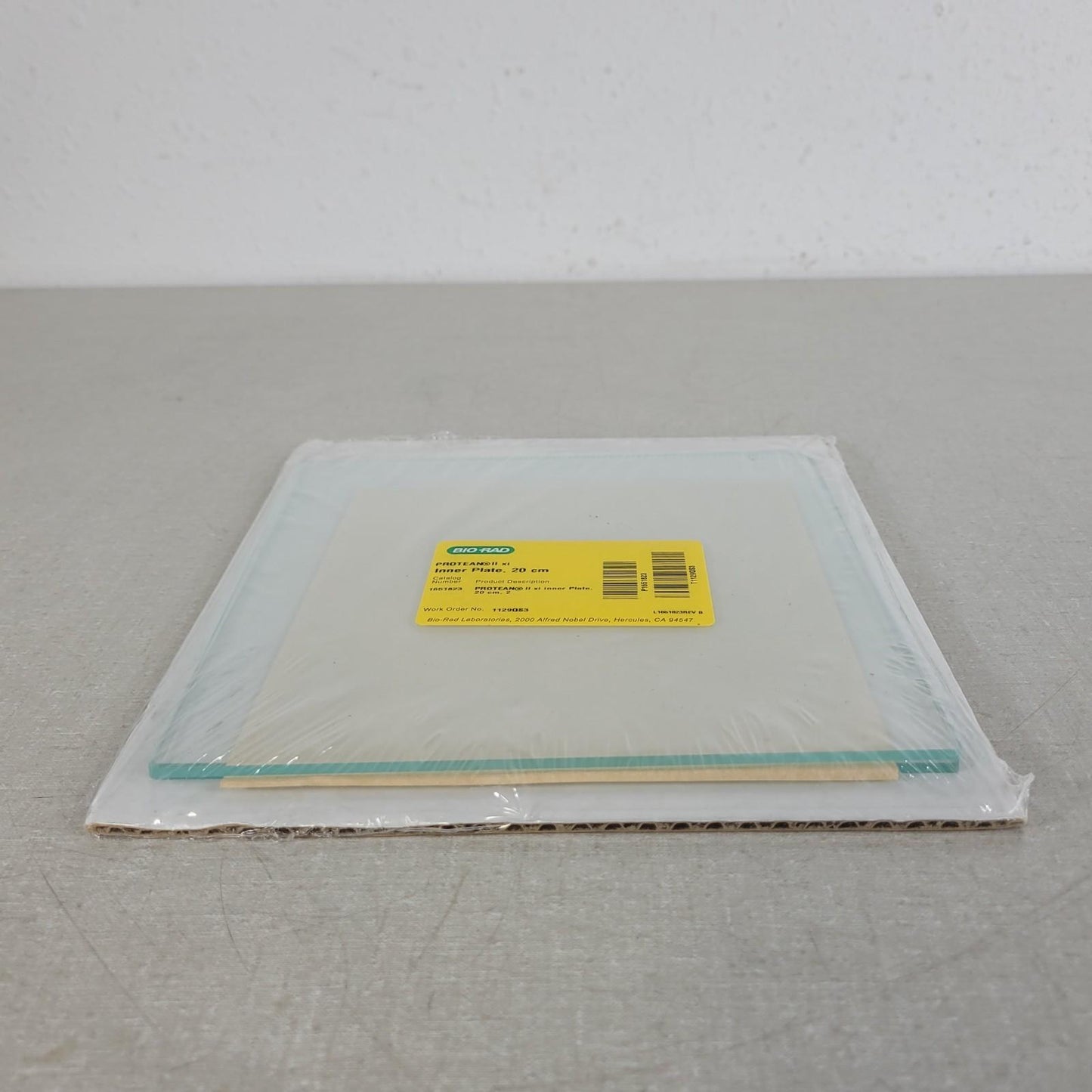 BIO RAD 1651823 Protean II xi Inner Plate 20 x 20cm for Electrophoresis Cells