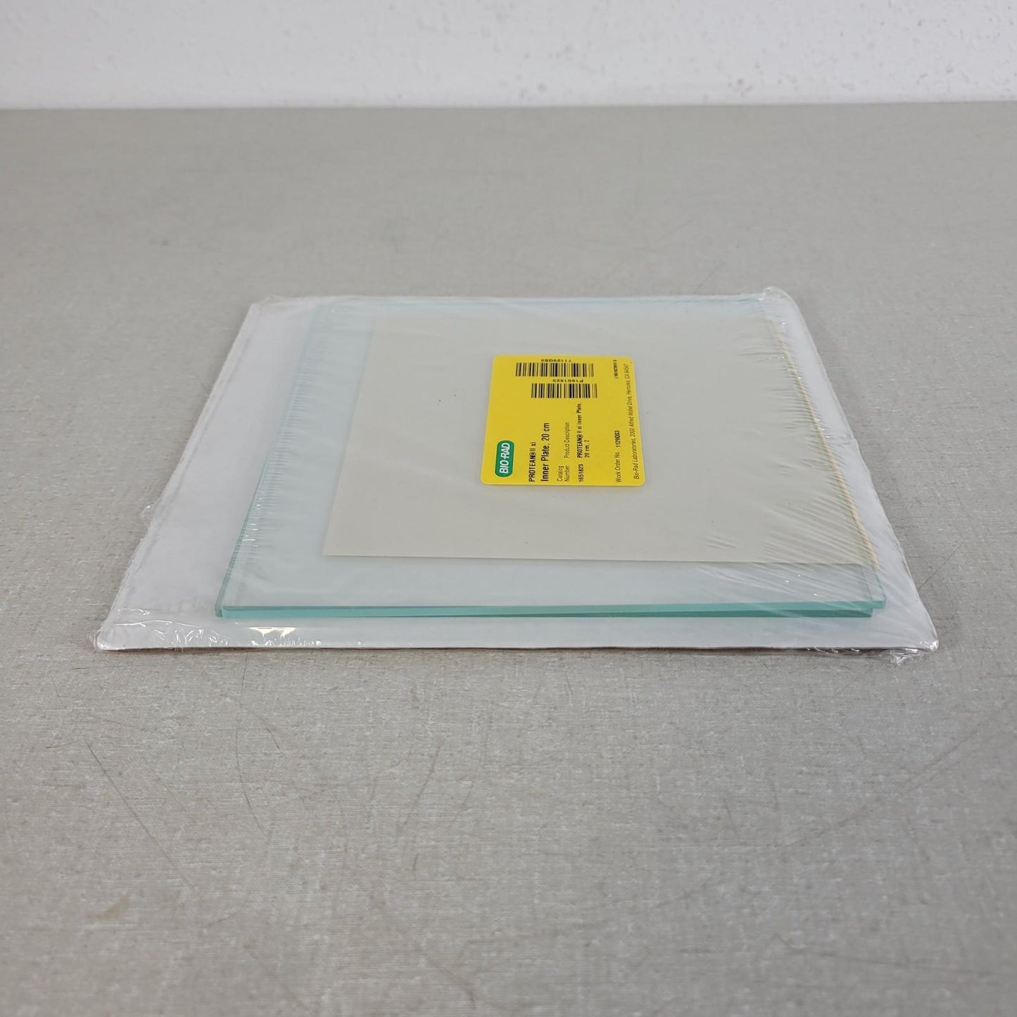BIO RAD 1651823 Protean II xi Inner Plate 20 x 20cm for Electrophoresis Cells