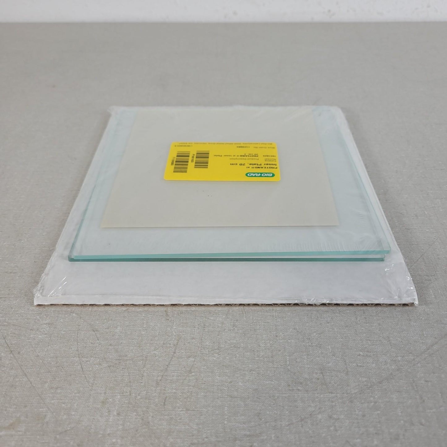 BIO RAD 1651823 Protean II xi Inner Plate 20 x 20cm for Electrophoresis Cells