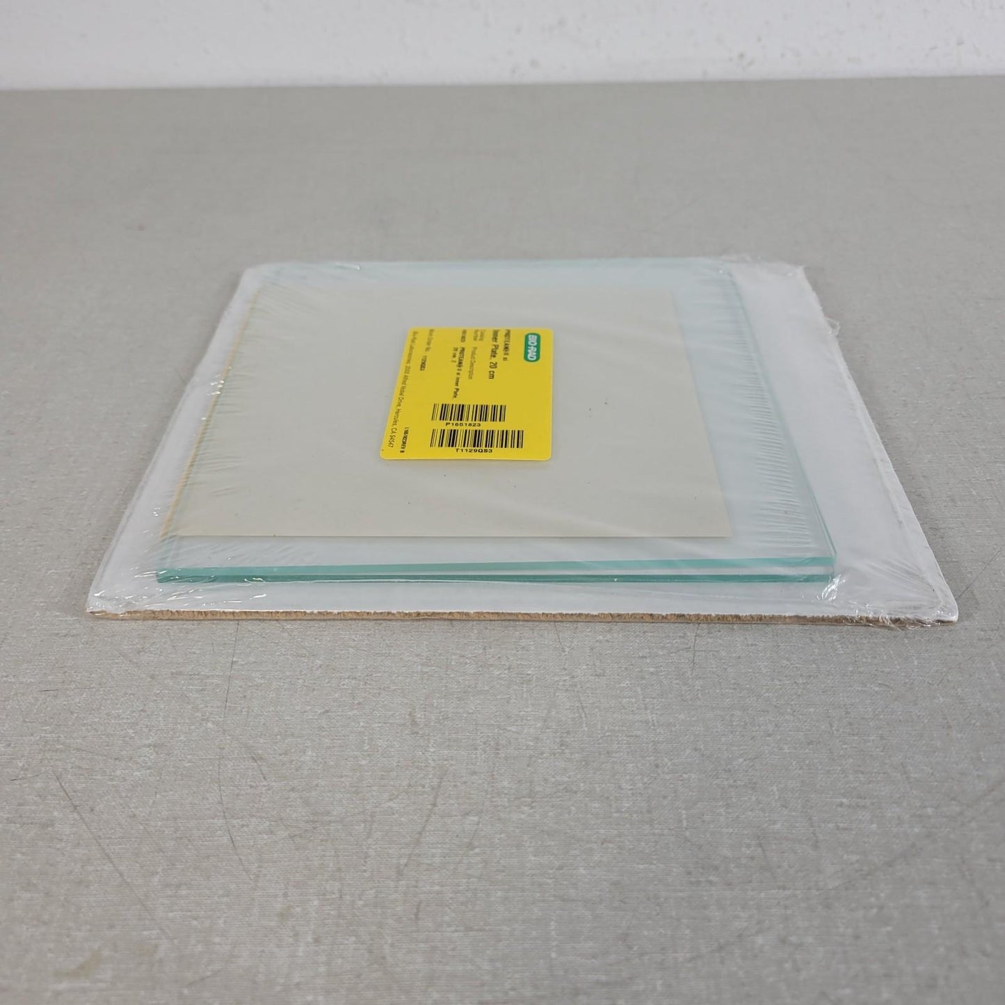 BIO RAD 1651823 Protean II xi Inner Plate 20 x 20cm for Electrophoresis Cells