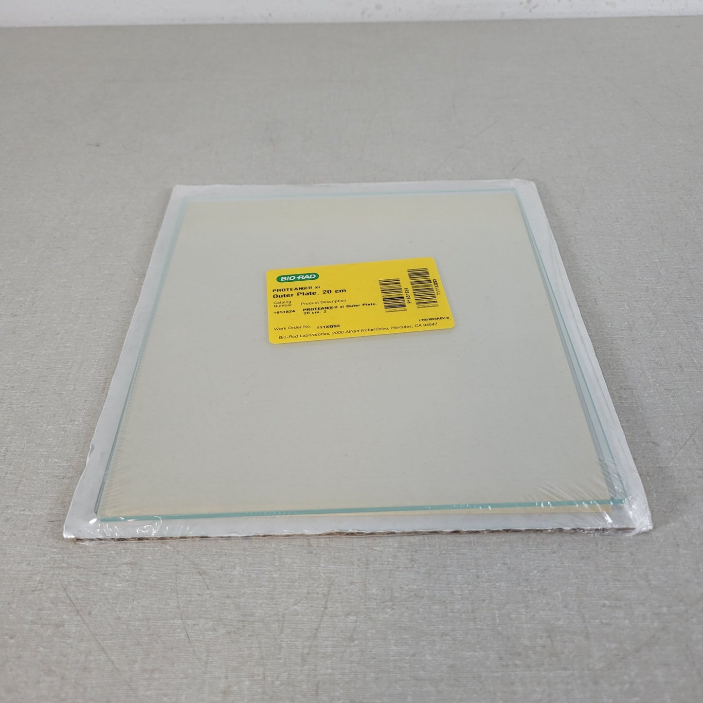 BIO RAD 1651824 Protean II xi Outer Plate 20 x 20cm for Electrophoresis Cells