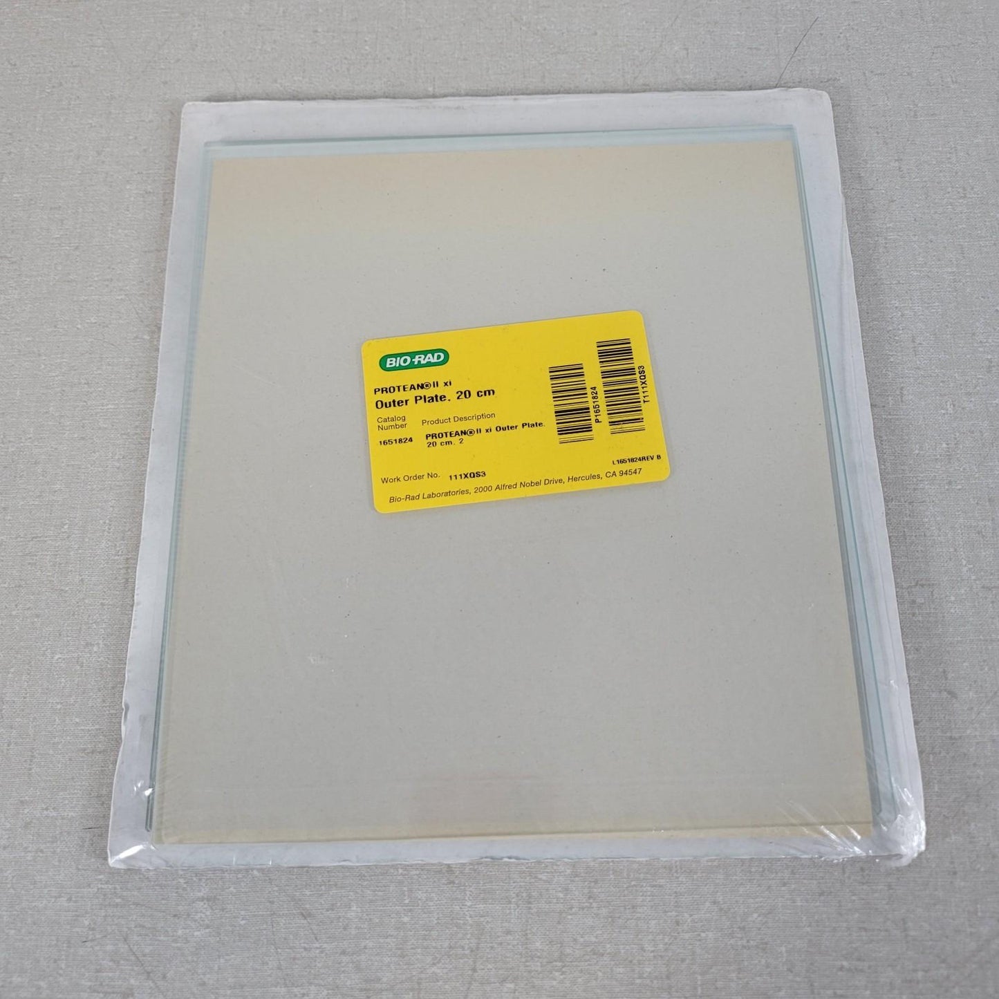 BIO RAD 1651824 Protean II xi Outer Plate 20 x 20cm for Electrophoresis Cells