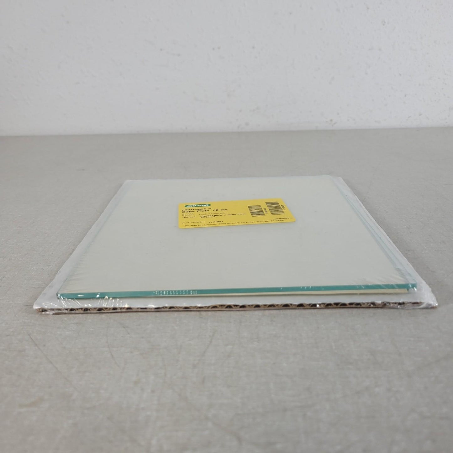 BIO RAD 1651824 Protean II xi Outer Plate 20 x 20cm for Electrophoresis Cells