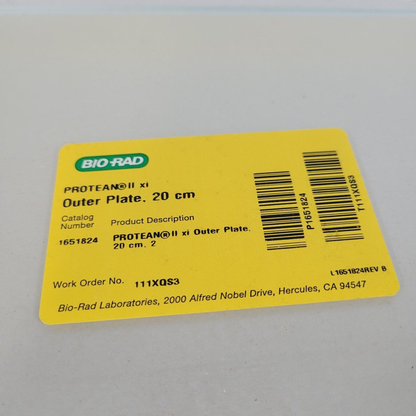 BIO RAD 1651824 Protean II xi Outer Plate 20 x 20cm for Electrophoresis Cells
