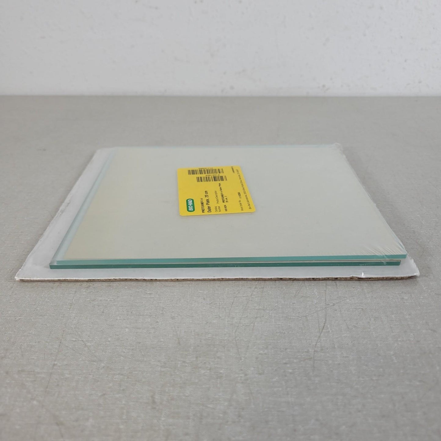 BIO RAD 1651824 Protean II xi Outer Plate 20 x 20cm for Electrophoresis Cells