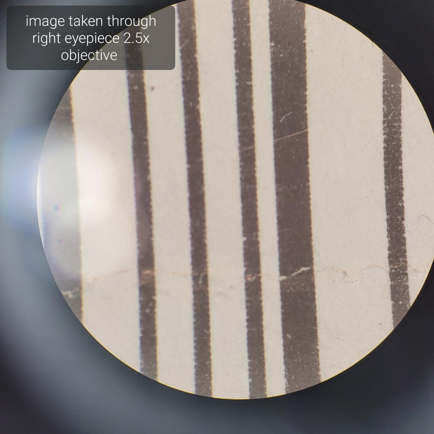 Carl Zeiss Stemi DRC Binocular Standing Microscope w/ 2.5x and 4x Objectives