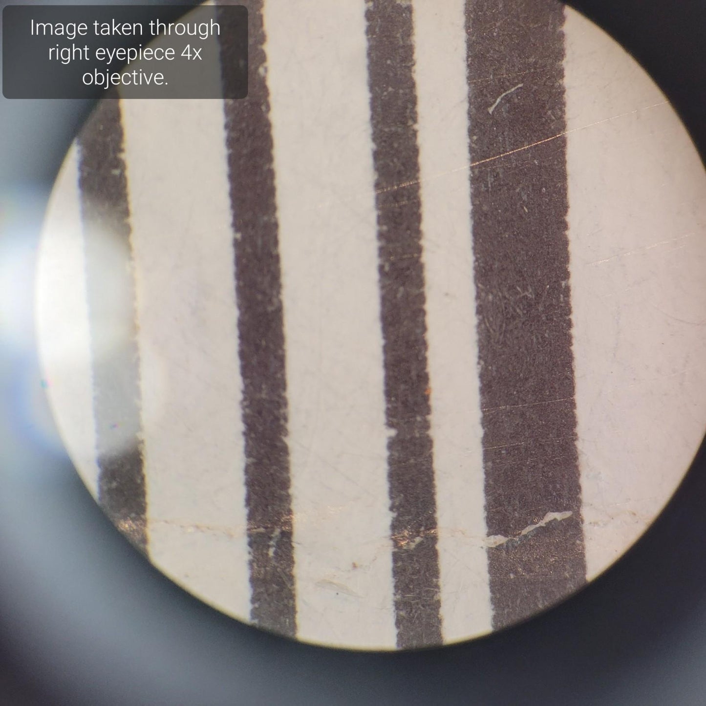 Carl Zeiss Stemi DRC Binocular Standing Microscope w/ 2.5x and 4x Objectives