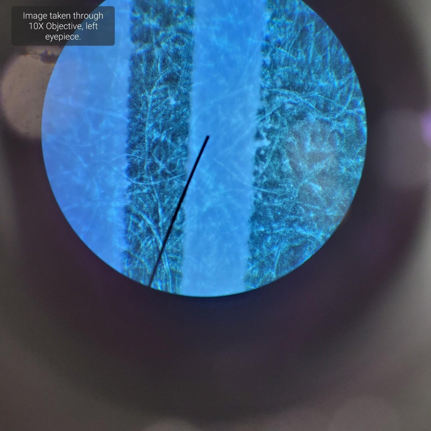AmScope B120C-R 40X-1000X Mag Upright Compound Microscope - Missing one Eyepiece