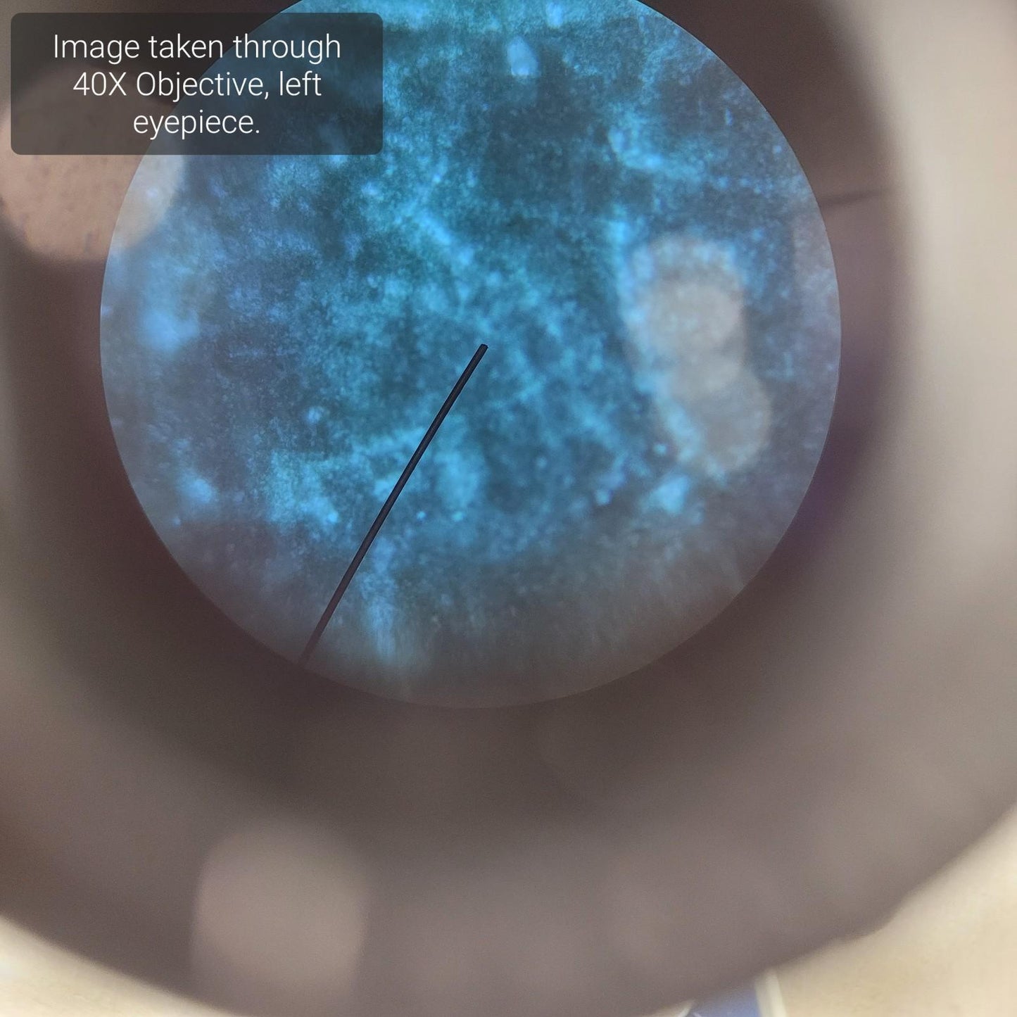 AmScope B120C-R 40X-1000X Mag Upright Compound Microscope - Missing one Eyepiece