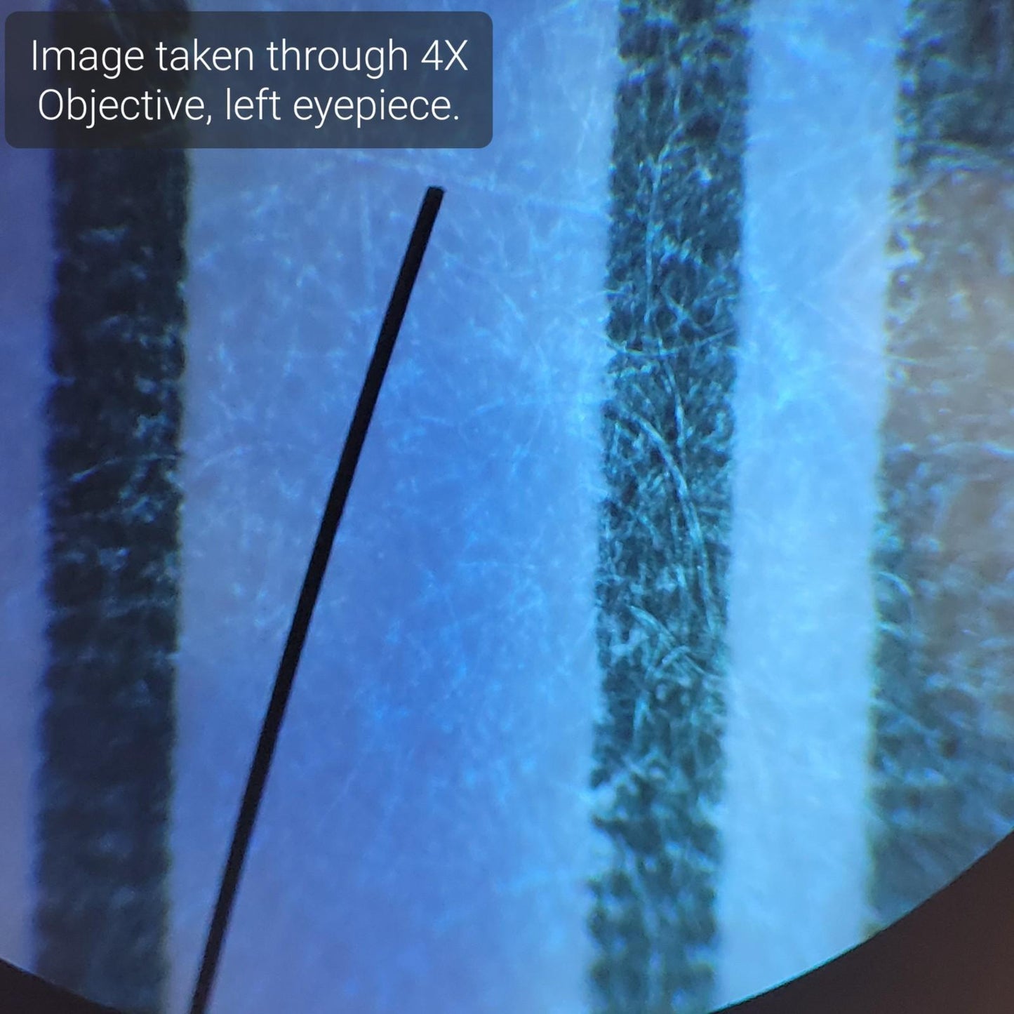 AmScope B120C-R 40X-1000X Mag Upright Compound Microscope - Missing one Eyepiece