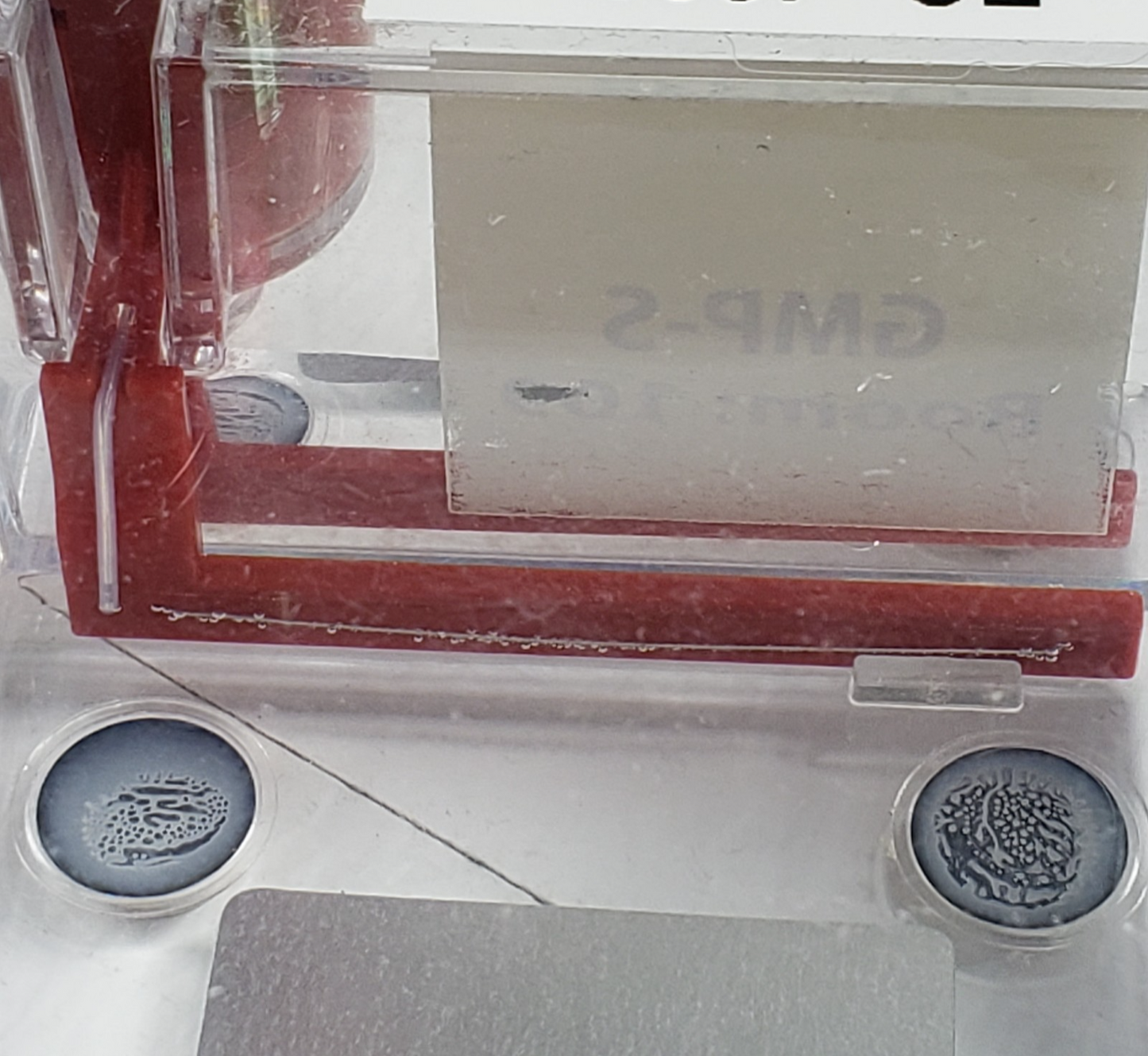 TESTED Bio-Rad PowerPac Basic Tabletop Electrophoresis System w 2 Mini-sub Cells