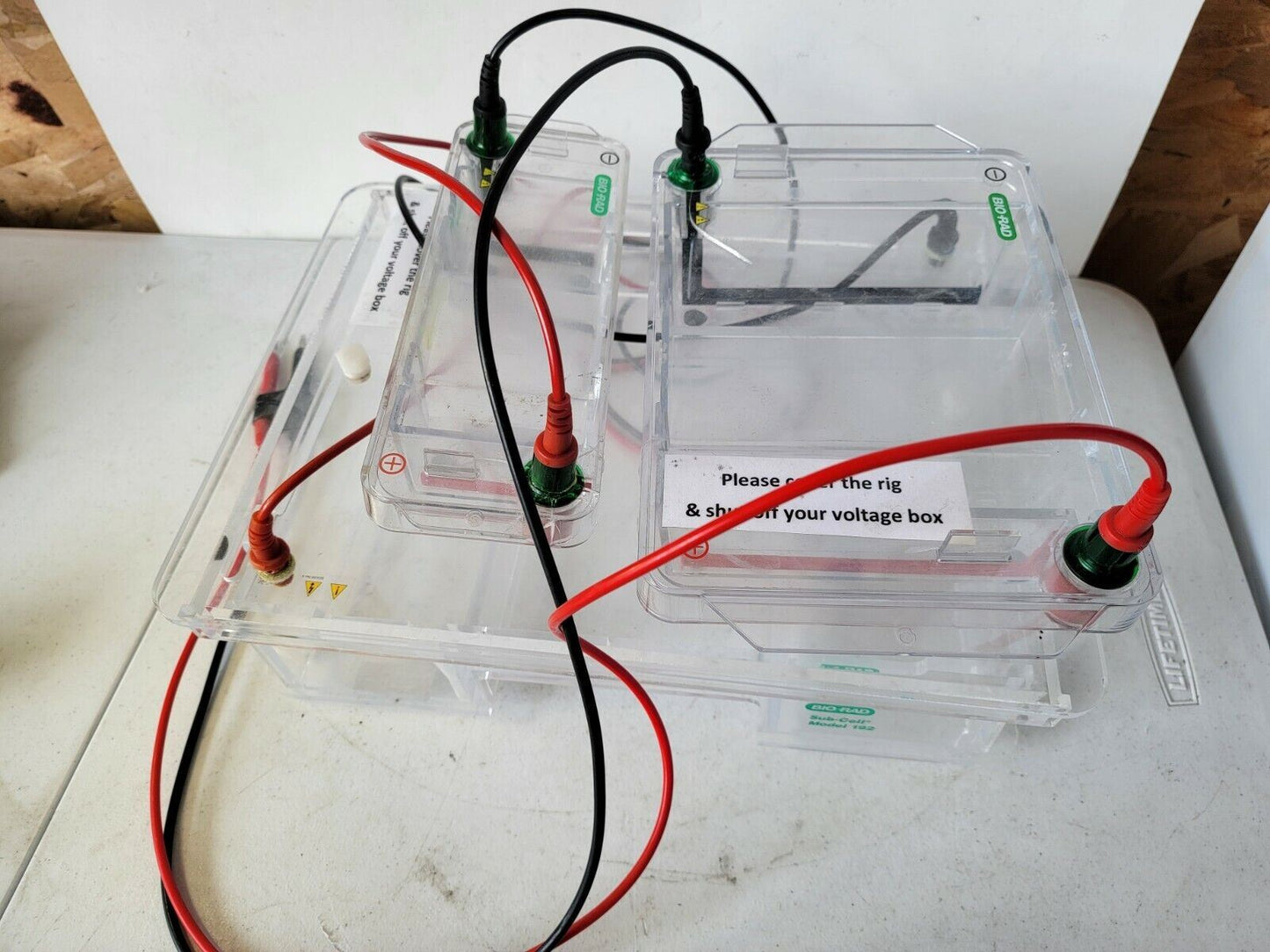 Bio-Rad Electrophoresis Wide Mini-Sub Cell GT And Modeo 192 Gel Blot Electrode