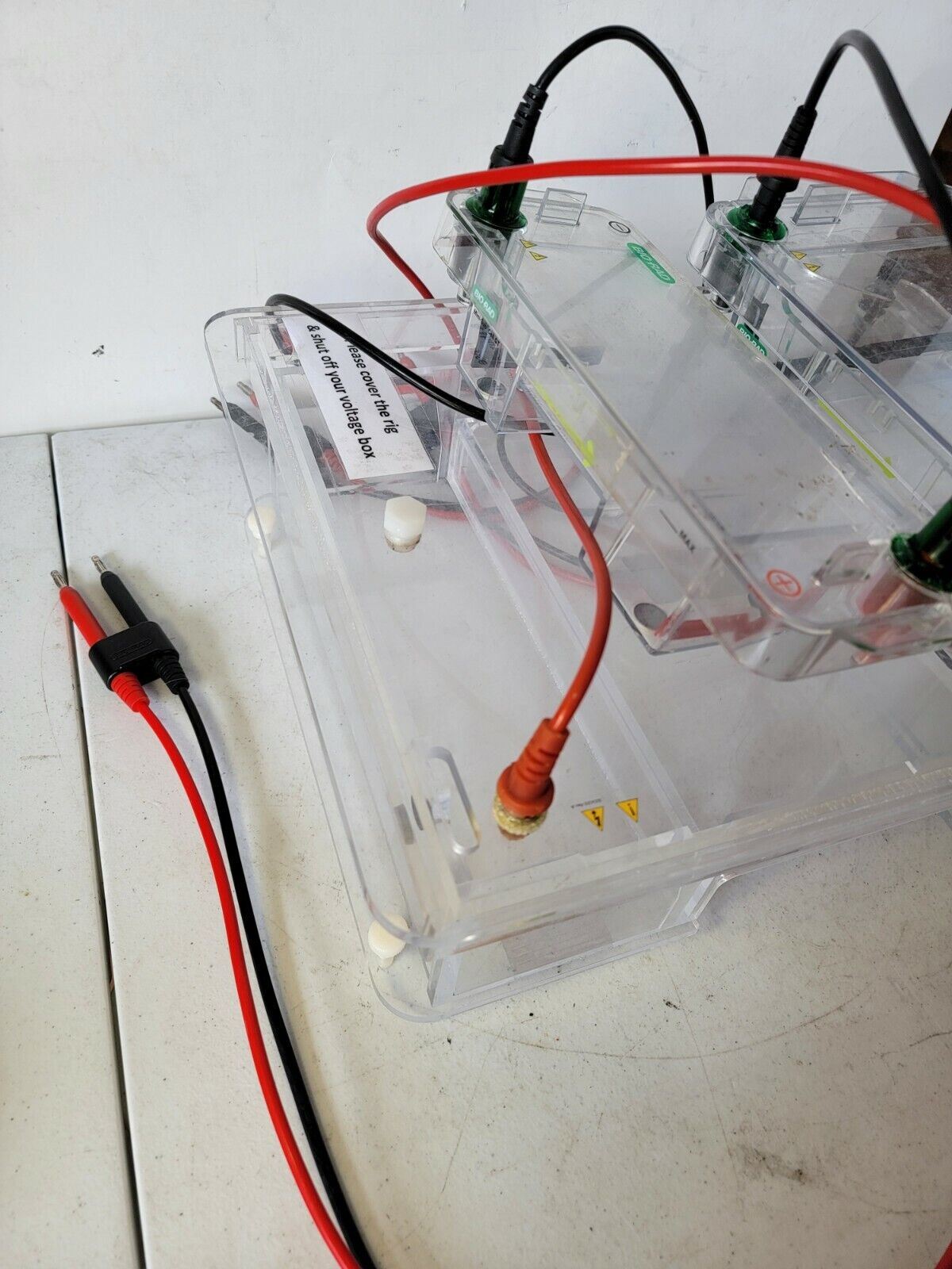 Bio-Rad Electrophoresis Wide Mini-Sub Cell GT And Modeo 192 Gel Blot Electrode