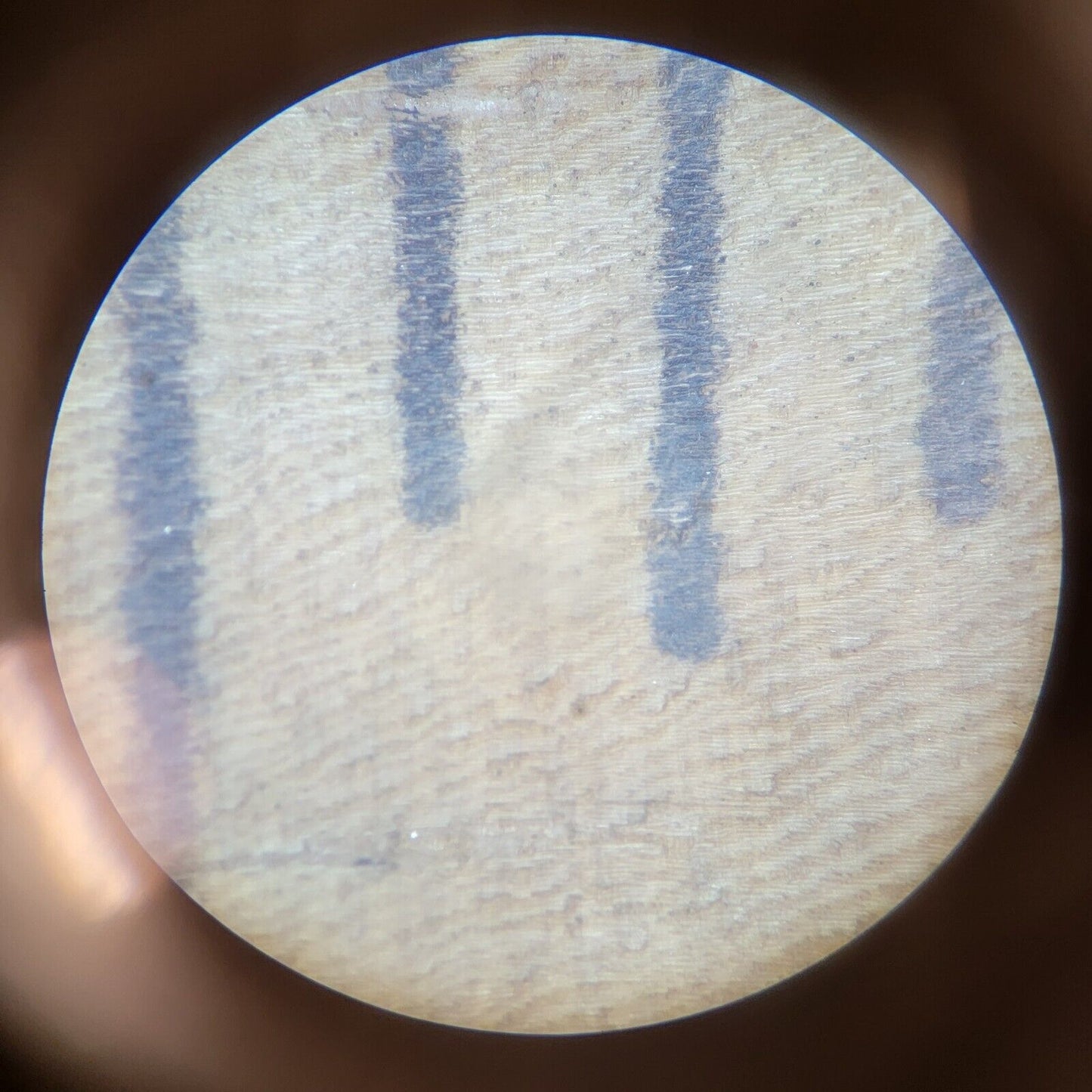 Olympus SZ4045 Stereo Zoom Microscope HWF10X Eyepieces Base Stand LED Ring Light